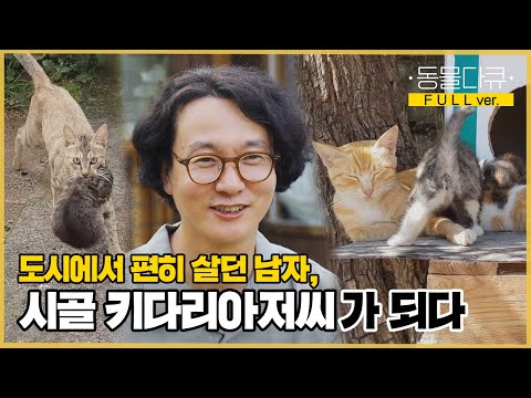 [풀버전] 집에 새끼를 데리고 온 어미 고양이 세 마리?! 12마리의 집사로 간택당한 시골 화가 총각🌳 | 동물극장 단짝 EP28  | KBS 220820 방송