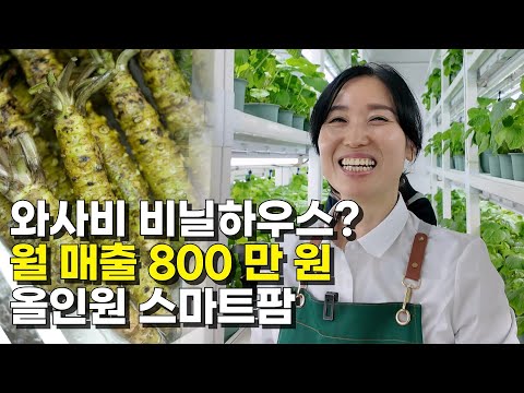 와사비 종주국 일본에도 없는 100평 스마트팜에서 2억 버는 방법