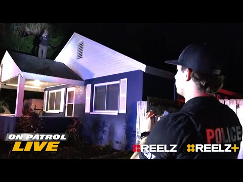 Florida Cops Find Car Thief Hiding on Rooftop After Chase