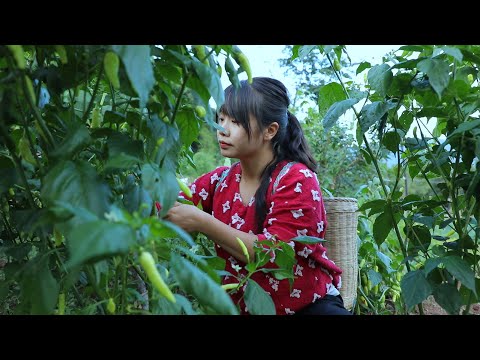 【二米炊烟】Chili | Hotpot in Snowy Day 雪天煮火鍋，底料是用秋天腌制的糟辣椒