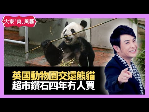 英國動物園交還熊貓 澳洲超市鑽石擺足四年冇人買－大家真瘋Show 20210106 梁思浩 苑瓊丹 李日朗