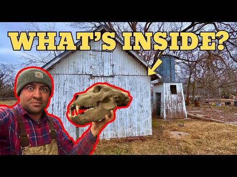 We Found some WILD Treasures in this Old Building! (100 Year Old Farm Cleanup)