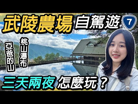 武陵農場自駕遊！三天兩夜台七甲線之旅｜亞爸的山、桃山瀑布、雪山登山口、牛頭司體驗農場、武陵茶莊、武陵四秀