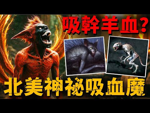 絕對存在的吸血惡魔！倒角獠牙吸幹獵物血液為止？北美三起目擊事件！卓柏卡布拉究竟是不是北美吸血鬼？【吸血鬼|未知生物|北美|惡魔】