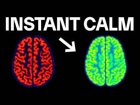 How To Rewire Your Brain To Make Overwhelm Impossible