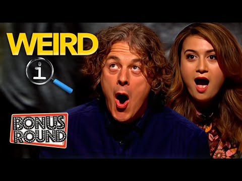 QI - The WEIRDEST Stuff Ever Covered
