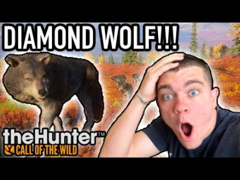 MY FIRST DIAMOND WOLF + 100k Giveaway!!! Hunter Call of the Wild Ep.28 - Kendall Gray