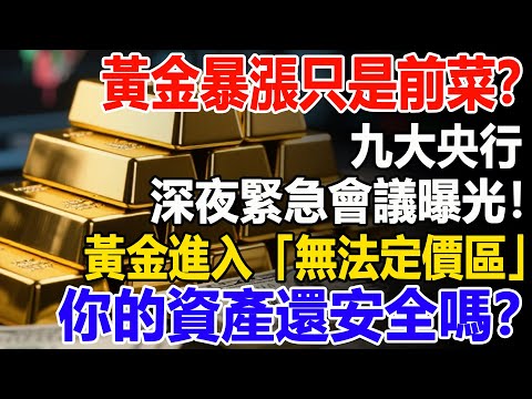 黃金暴漲只是前菜？九大央行深夜緊急會議曝光！黃金進入「無法定價區」，你的資產還安全嗎？#黃金#央行#金價#降息#美聯儲#投資#理財##晚年幸福#晚年生活#退休生活#退休