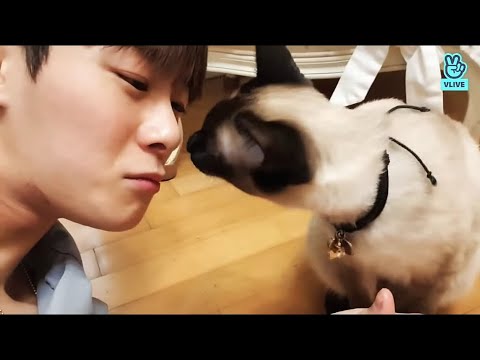 [ENG SUB] PART.1 MOONBIN AND HIS CAT "ROA"