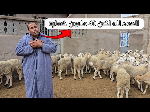 الزروقي، الحمد لله معندنا منديرو لكن الخسائر كتيرة، كتر من 40 مليون خسارة