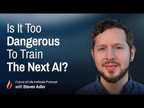 Why the AI Race Undermines Safety (with Steven Adler)
