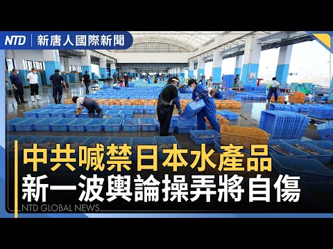 中共刻意釋「偷拍照」帶風向 日本提抗議！｜川普宣布沙國為「主要非北約盟友」｜美對台新軍售 參院法案有望解除美台交往限制｜張展獄中遭遇引國際關注｜國際新聞 ｜20251119(三)｜ 新唐人電視台