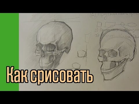 Как научиться срисовывать
