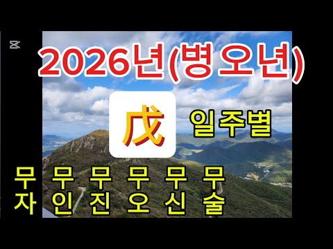 병오년(2026년)일주별세운_무토일주