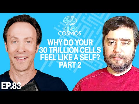 Why Do Your 30 Trillion Cells Feel Like a Self? Part 2 | Inner Cosmos with David Eagleman