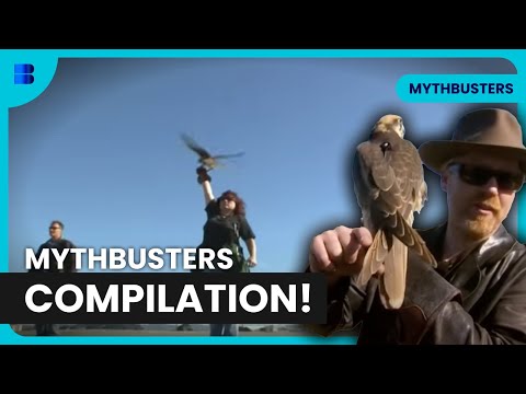 Can Quicksand Actually Kill You? | MythBusters | Science Documentary