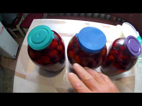 Домашняя сливовая наливка. Благородный напиток к Новому году.