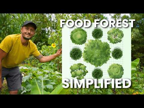 This 1-Guild Template Makes Food Forest Design Easy
