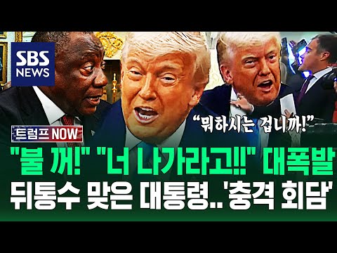 "이러려고 정상회담 불렀습니까?!" "당신 나가라고!!" 백악관 '발칵'..트럼프 '기습 공격'에 '속수무책' 당한 남아공 / SBS / 트럼프 NOW