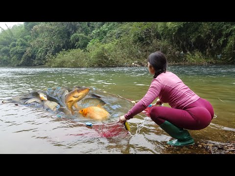 Fishing Techniques In Streams, Uses Bait to Attract Fish Pulling The Nets Catch a Lot of Fish