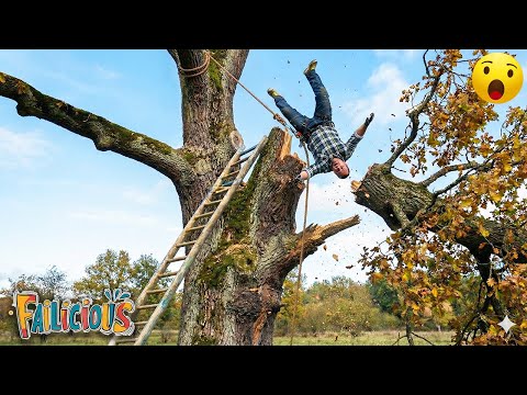 TOTAL IDIOTS AT WORK | Instant Regret Fails Compilation 2025 | Paid Work Gone Wrong #1