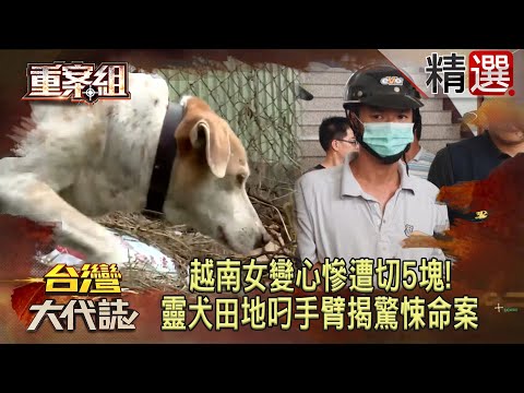 夫妻相約「外遇就把對方分了」!越南女變心慘遭切5塊…靈犬田地叼手臂揭驚悚命案 @ebcOhMyGod