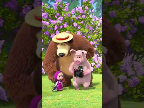 الدب أفضل مصور! 📸 mashabeararabic #shorts #arabic #mashaandthebear#