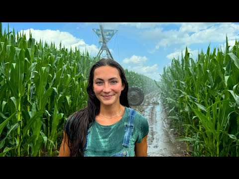 My Farm’s Biggest Secret Expense