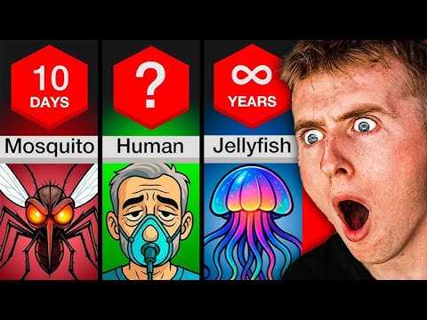 What Is The Shortest Living To Longest?