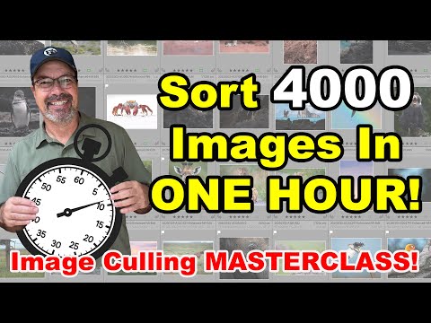 WOW! How To Sort & Cull 4000 Image AN HOUR!