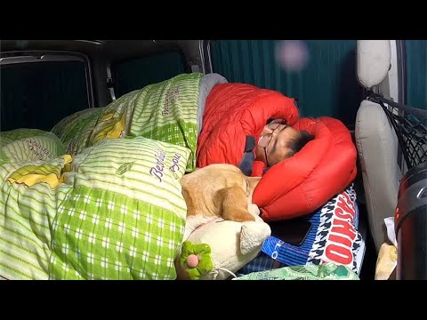 晚上零下20度跟狗狗睡车里，胖妞秒睡还打呼噜，虽然很冷但很温馨