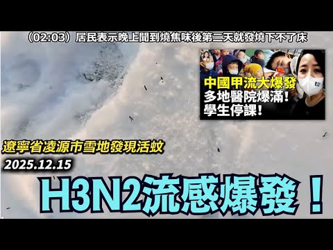 【2025 H3N2 變異甲流大爆發！】WHO全球警告！冬天蚊子+燒焦空氣+空教室+全家8人瞬間倒，9分鐘震撼視頻 （12/18/25）#川普 #trump #特朗普  #musk  #高市早苗