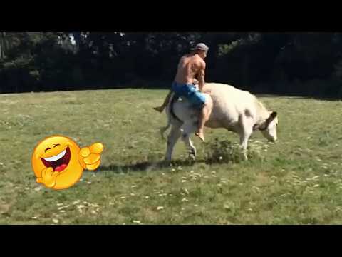 Animais de Fazenda  espertos e engraçados! 😂 | Parte 10