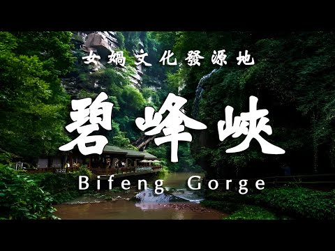 中國大貓熊之鄉，女媧文化起源，雅安碧峰峽峽谷奇觀【樂樂視界】 #自然风光 #地理知识 #旅游摄影 #徒步旅行
