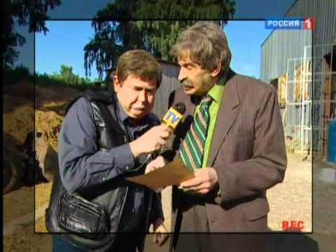 Городок о своём.