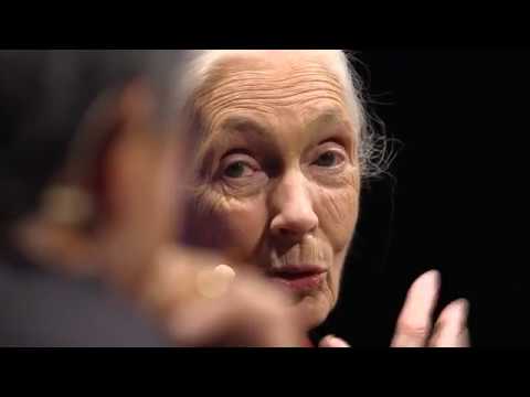 INTERVIEW Dr. Jane Goodall, DBE, with Guy Kawasaki | TEDxPaloAltoSalon