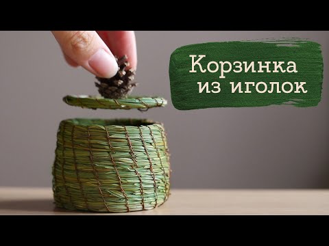 Пробую плетение из сосновой хвои | Masherisha