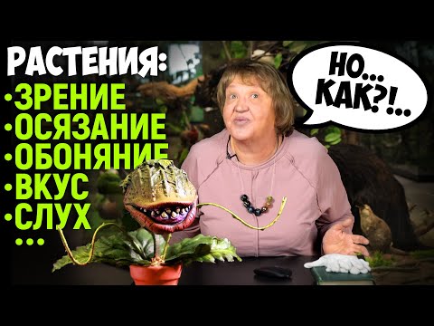 Поведение растений. Татьяна Николаевна Бибикова.