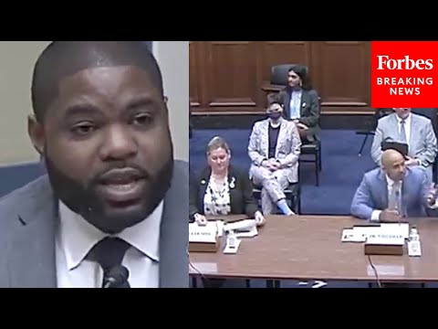 'Should Material Like This Be In A Mathematics Textbook?': Byron Donalds Grills Panel About CRT