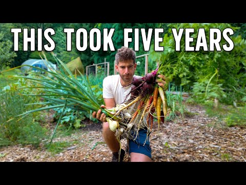 Full Tour of My Abundant One Acre Suburban Homestead