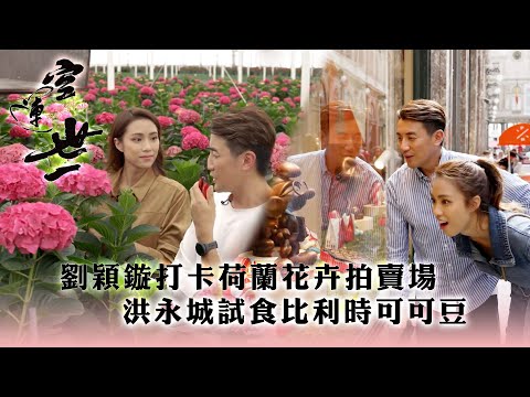 空運世一｜劉穎鏇打卡荷蘭花卉拍賣場 洪永城試食比利時可可豆｜旅行 空運｜TVB綜藝