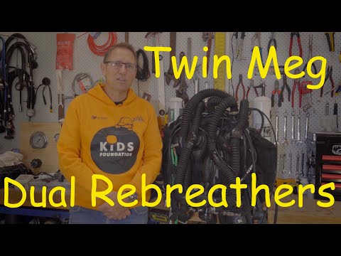 Twin Megalodon Breakdown