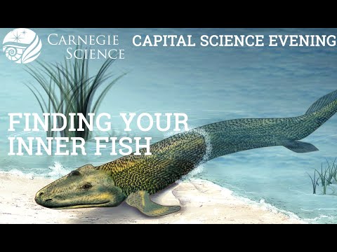 Finding Your Inner Fish - Dr. Neil Shubin