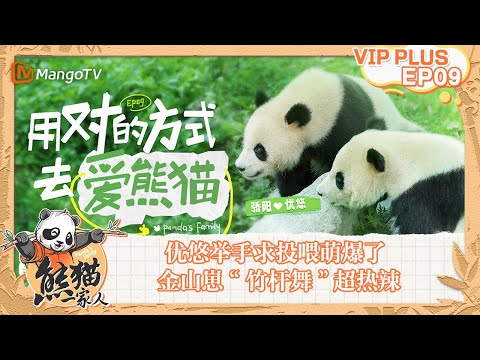FULL｜优悠举手求投喂萌爆了 金山崽“竹杆舞”超热辣｜《熊猫一家人Panda‘s Family》｜EXTRA 09｜MangoTV