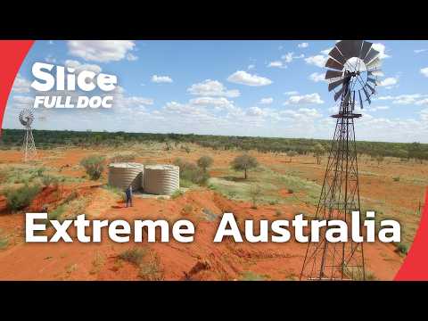 Australia’s Desert Crisis: Fire, Floods, and Feral Invasions | FULL DOCUMENTARY