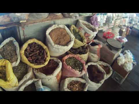 Ночевка под мостом в Ташкенте. Ботанический и японский сады. (День 37-38)