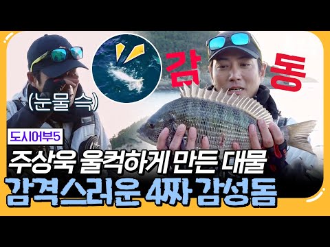 [#에이팅] 넌 감동이었어...만년 2등에게 용왕님이 내려준 선물? 대물 잡고 눈물까지 흘린 주상욱 | #도시어부5 18회