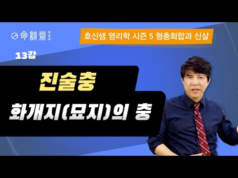호신샘 형충회합반(13강) 진술충 辰戌,  화개지, 묘지의 충 (명담재 호신샘 사주명리학 시즌5)
