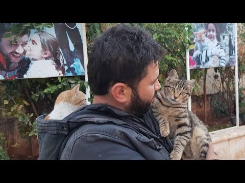 When a Stray Cat Chooses You, It’s Forever 🧡