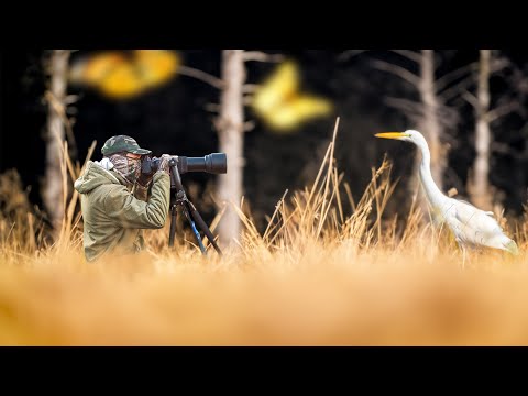 This Moment Will Take Your Breath Away